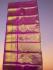 KPM AJ SILK SAREE WB